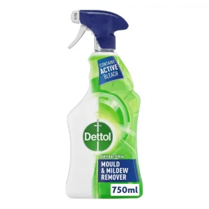 Dettol Antibacterial Mould & Mildew Remover 750ML Made in EU
